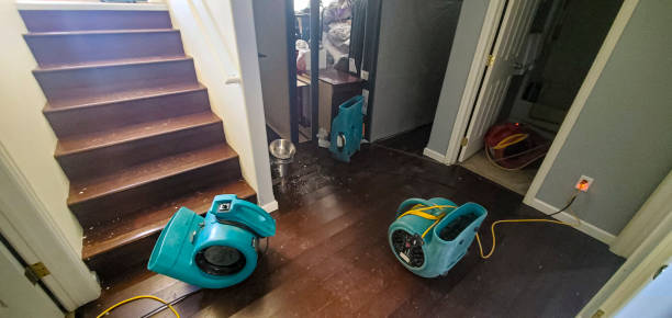 Best Water damage restoration experts  in North Sarasota, FL