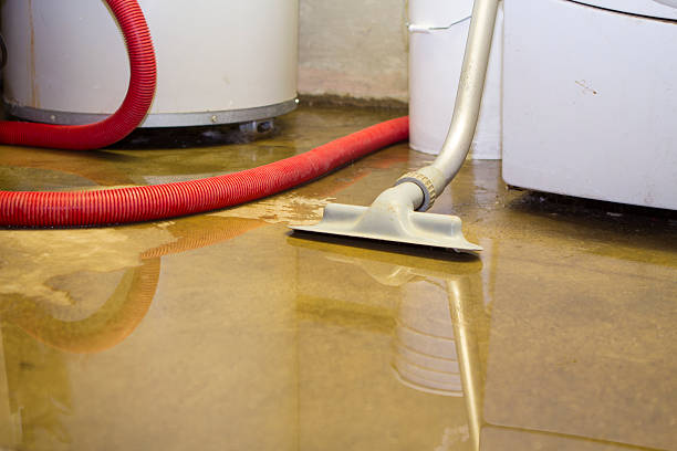 Water damage restoration experts in North Sarasota, FL