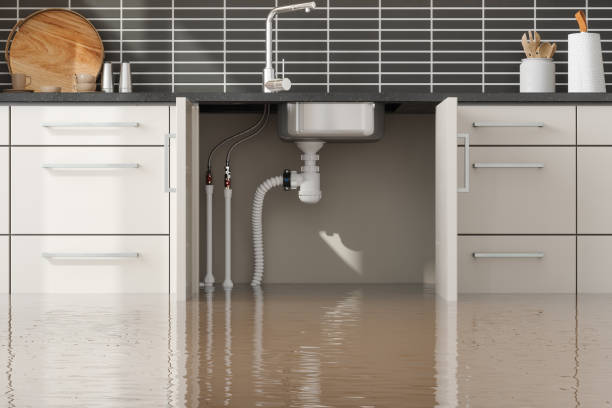 Best Flood restoration services  in North Sarasota, FL